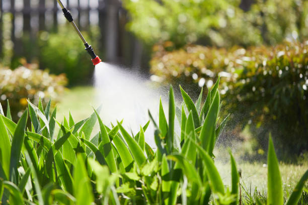 24/7 Emergency Wasp Removal experts in Troy Hills, NJ