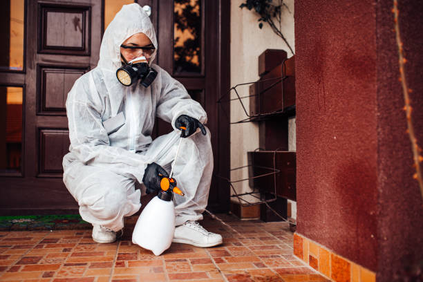 Reliable Wasp Removal contractor in Troy Hills, NJ by Show Me Pest Control
