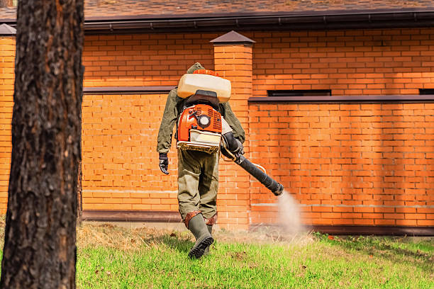 Top rated local Wasp Removal specialists in Troy Hills, NJ
